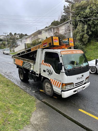 A white truck with a ladder on top of it is parked on the side of the road.