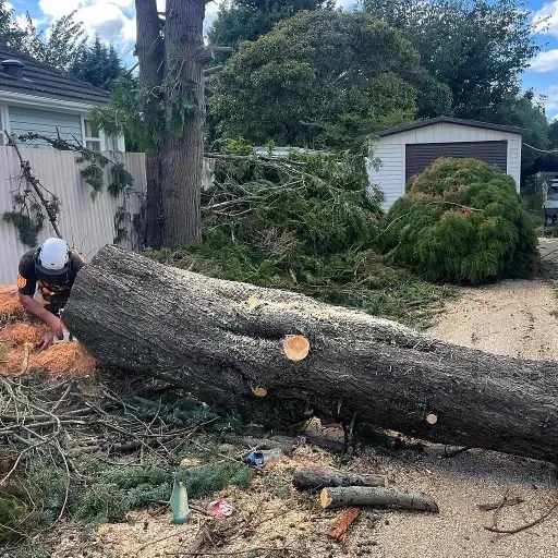 A man is standing next to a large log in front of a house.