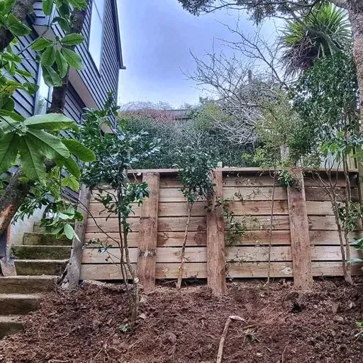 A wooden fence is surrounded by trees and dirt in front of a house.