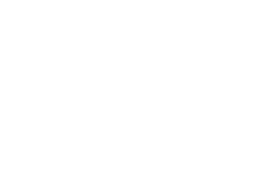 A white logo for Sagesse. Click on image to visit the Sagesse website