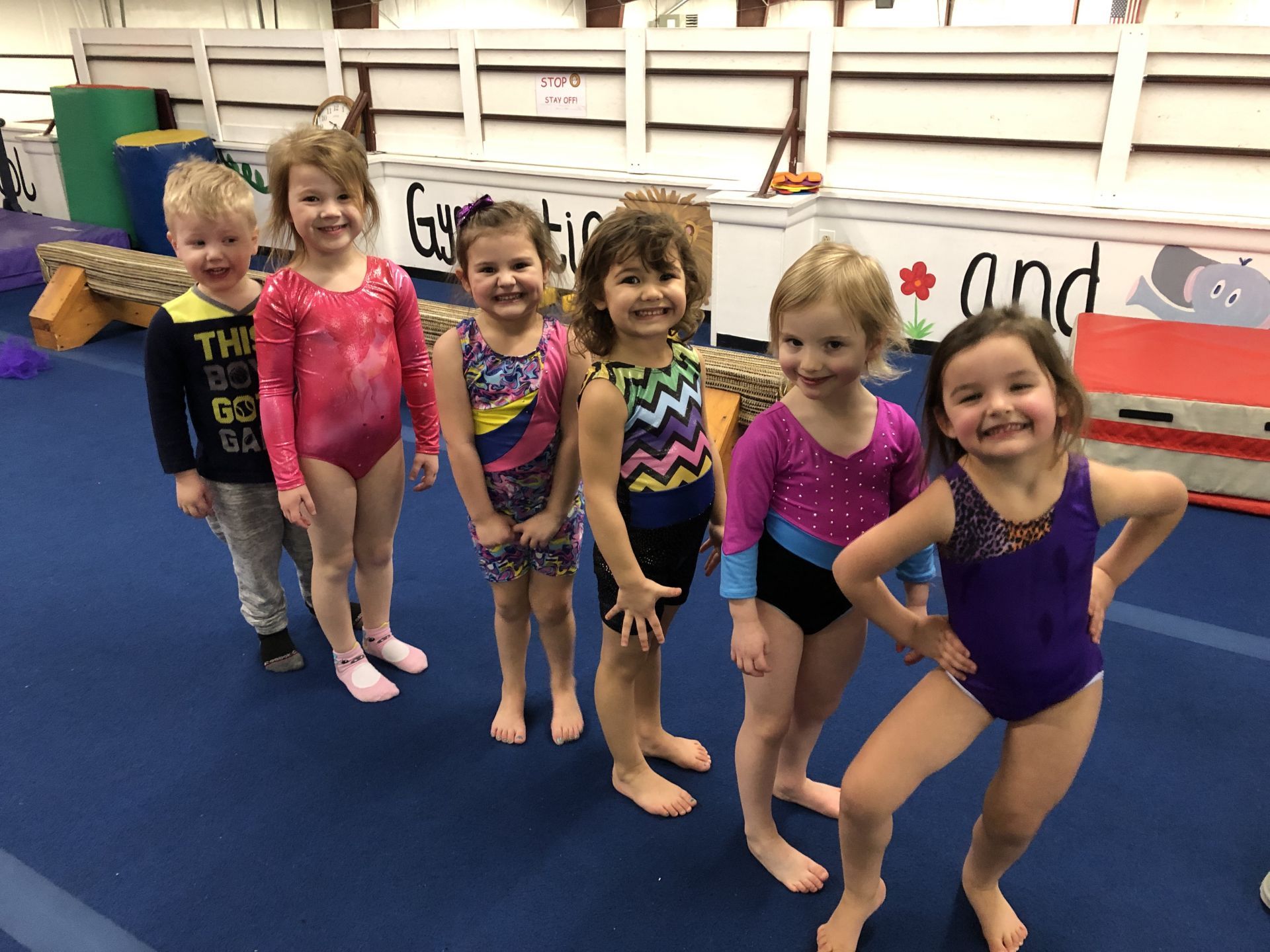 A group of young girls are posing for a picture in a gym.