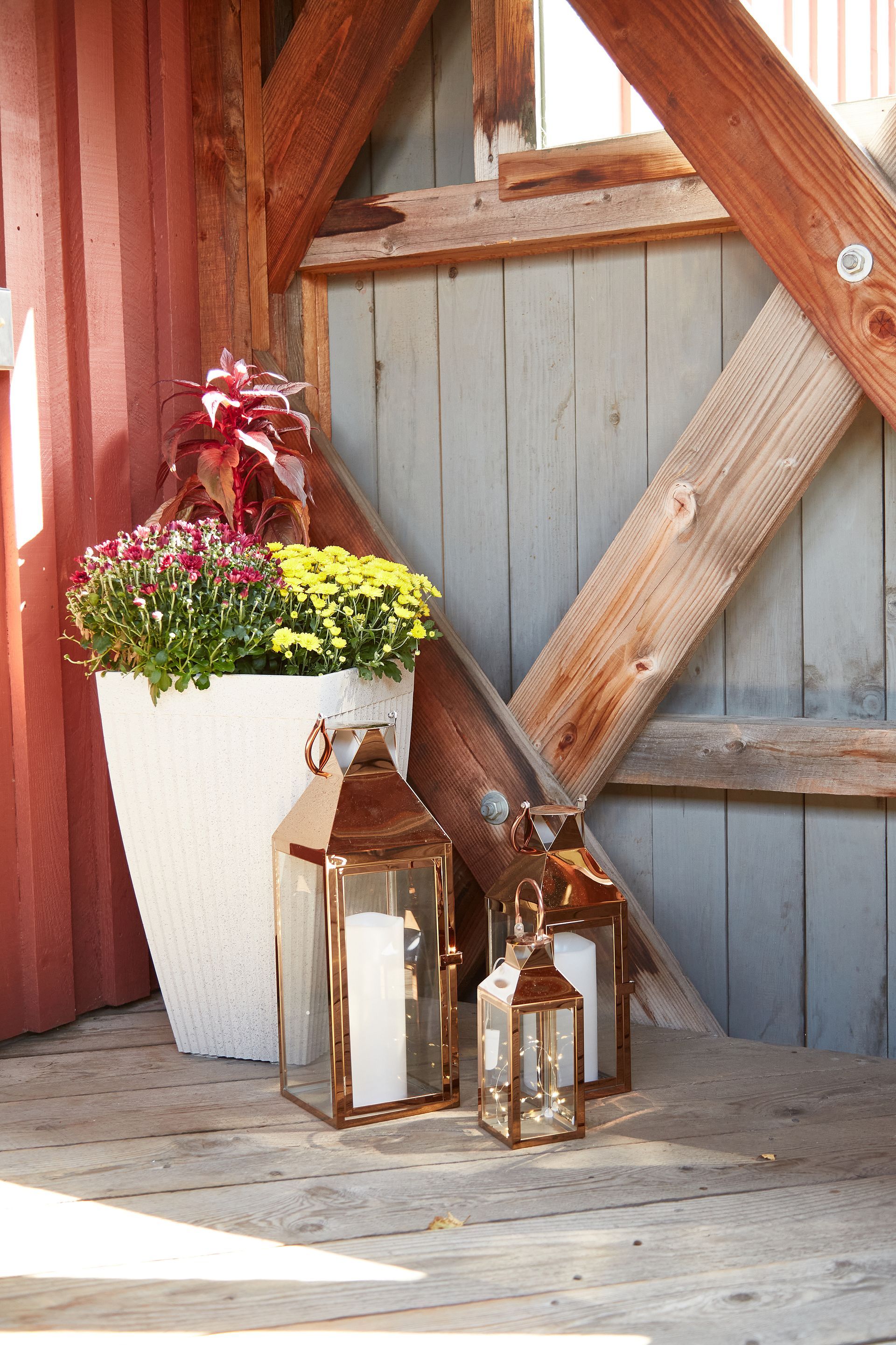 Three lanterns are sitting on a wooden deck next to a potted plant.