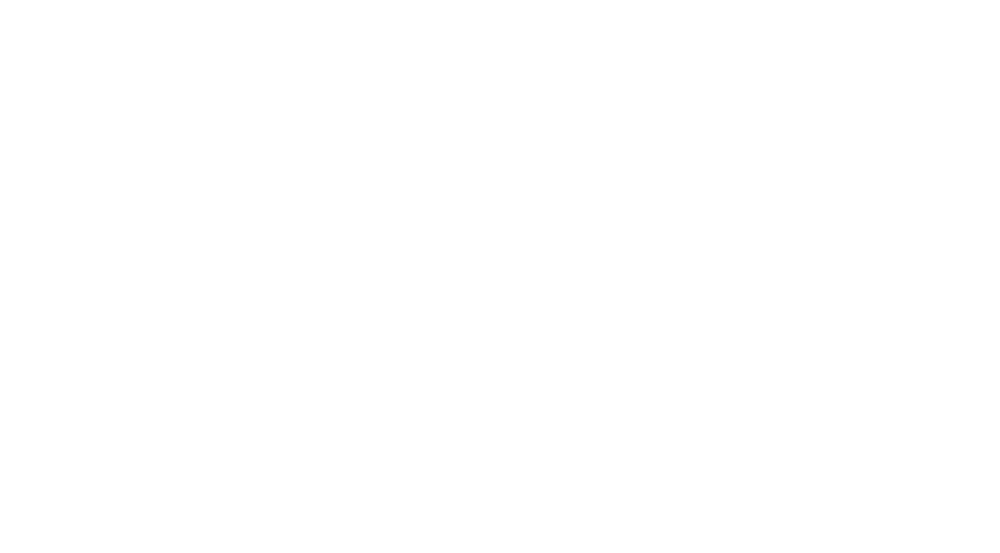 Twin City Todd logo