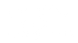 Twin City Todd logo