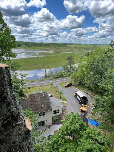 An aerial view of a house and a lake from a tree stump.