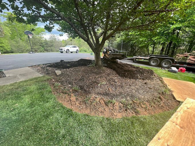 A car is parked in the driveway next to a tree.