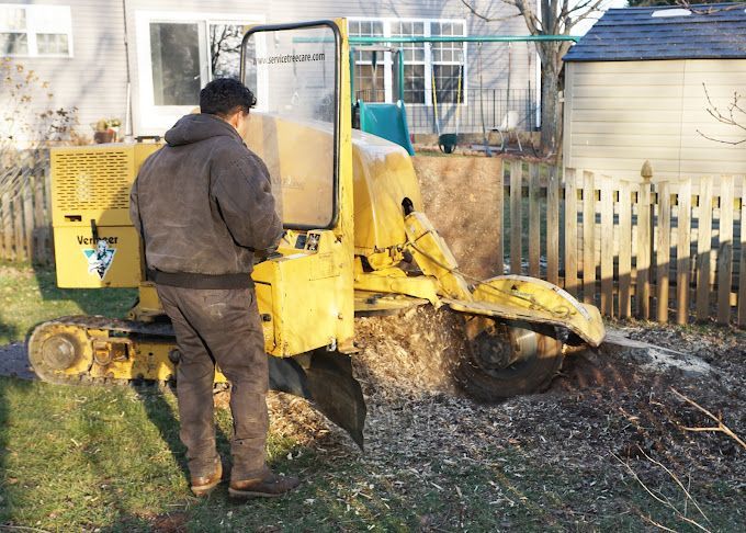 A man is standing in front of a yellow stump grinder.
