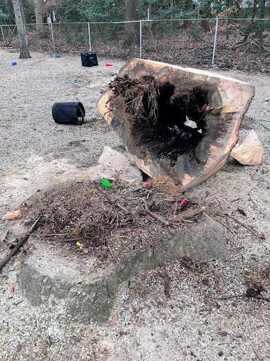 A tree stump with a hole in it is laying on the ground.