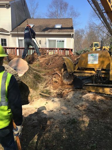 A man is standing next to a large tree stump in front of a house.