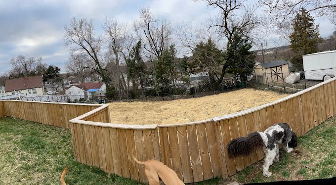 Three dogs are playing in a wooden fenced in yard.