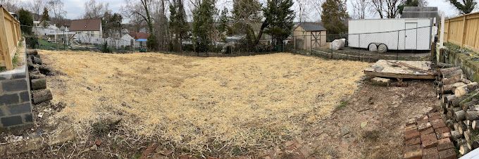 There is a lot of grass in the middle of the field.