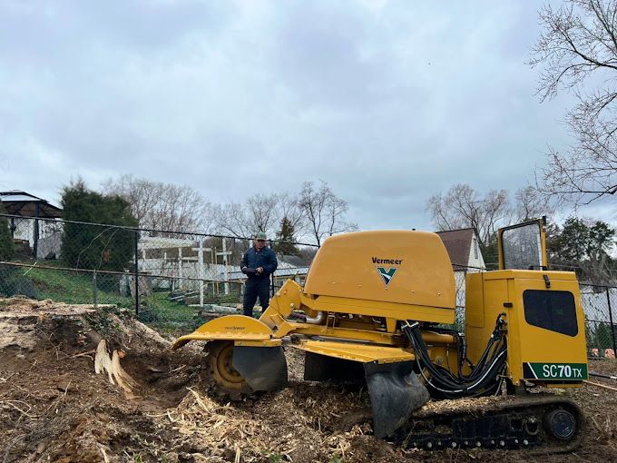 A man is standing next to a yellow stump grinder.