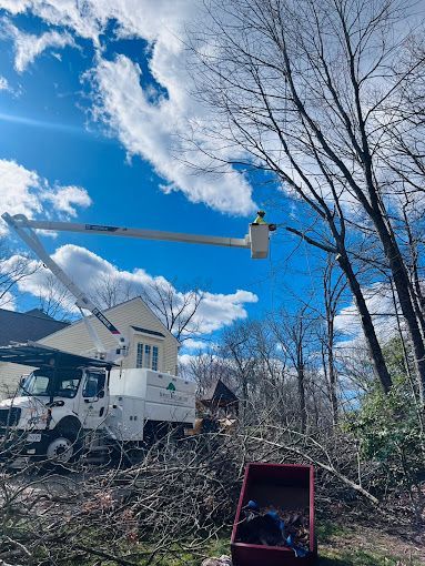 A man in a bucket is cutting a tree in front of a house.