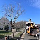 A yellow truck is parked on the side of the road next to a tree.
