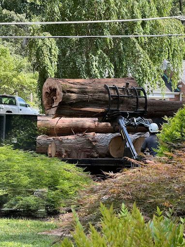 A large pile of logs is being loaded onto a truck.