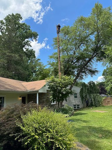 A man is cutting a tree in front of a house.