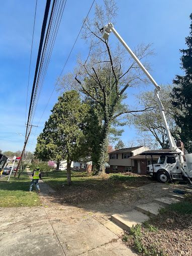 A tree being cut down by a crane in front of a house.