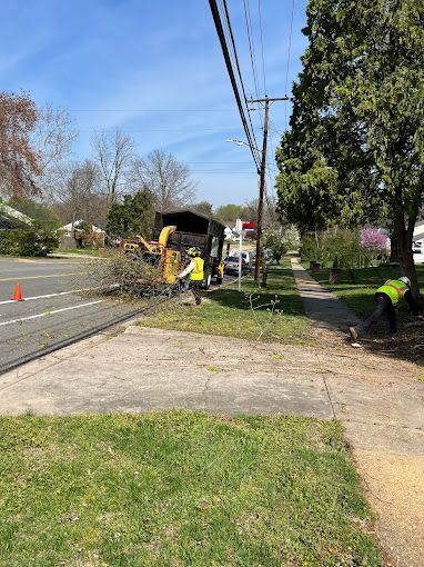 A group of people are working on a sidewalk next to a road.