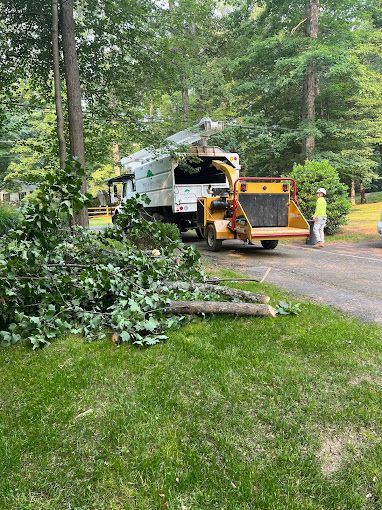 A man is standing next to a tree chipper in a driveway.