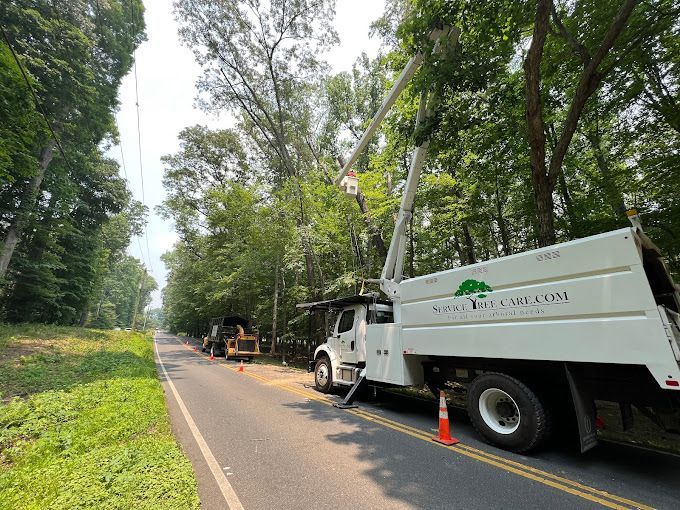 A tree trimming truck is parked on the side of a road.