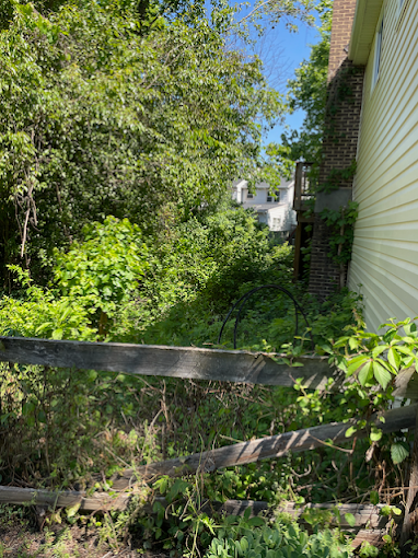 A wooden fence is surrounded by trees and bushes in front of a house.