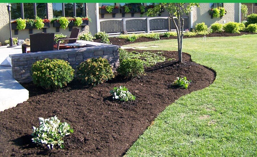 A lush green lawn with a patio in the background