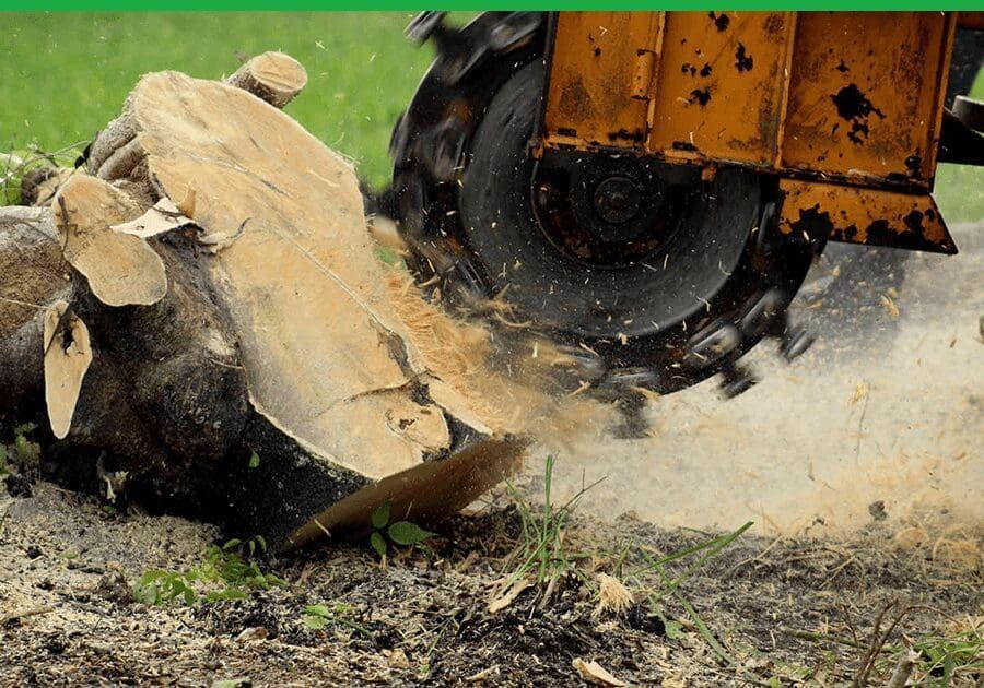 A tree stump is being removed by a machine.