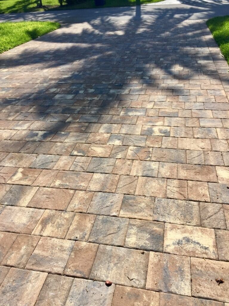 Brick walkway with shadow of palm tree overhead.