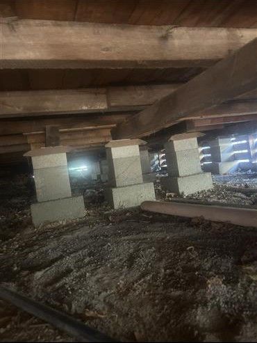 Under a concrete structure, muddy ground with support pillars and daylight filtering through slats