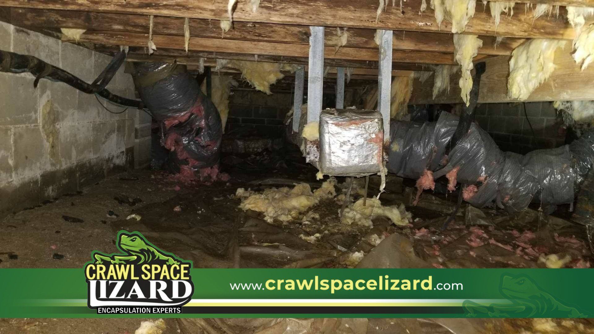 Crawl Space Cleaning in Roswell, GA