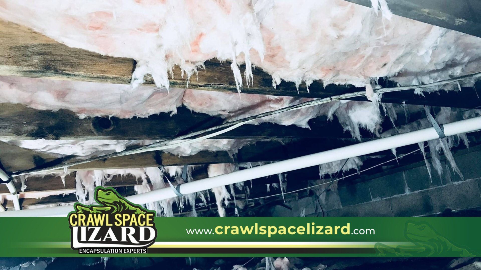 Crawl Space Mold Removal in Roswell, GA