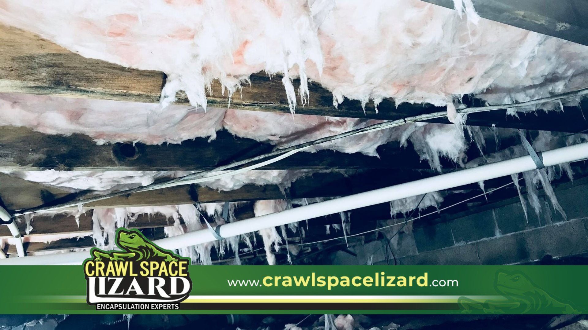 Crawl Space Mold Removal