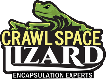 Crawlspace Lizard