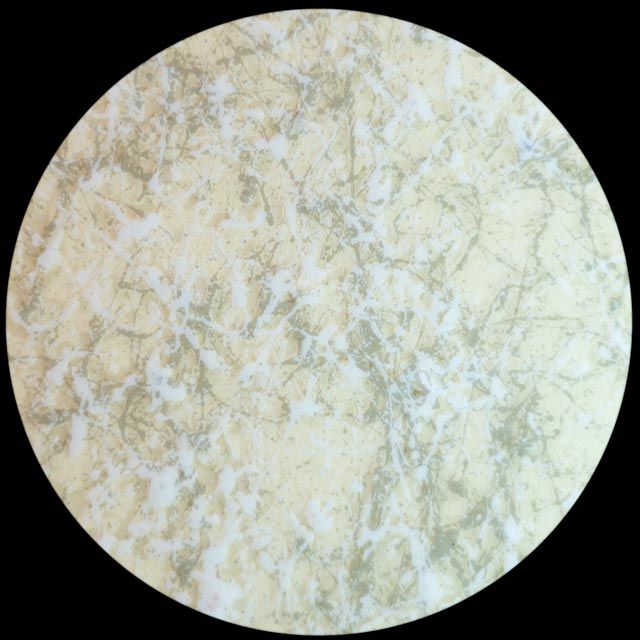 Amarillo Yellow - Seattle, WA - Premier Resurfacing Services LLC