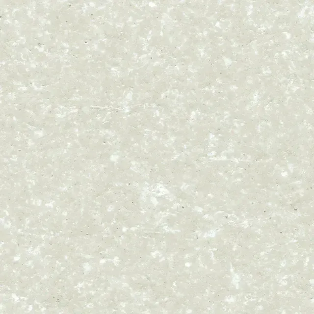 Oyster - Seattle, WA - Premier Resurfacing Services LLC