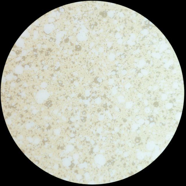 Microscopic view of a light tan sample with scattered white and dark gray specks and bubbles.