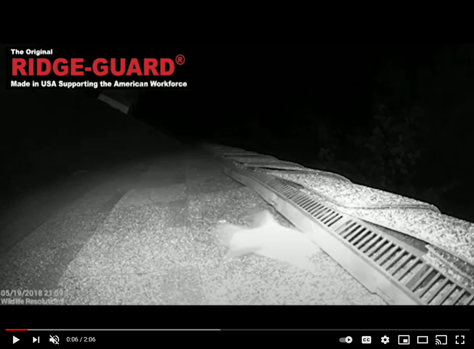 Ridge-Guard-Video