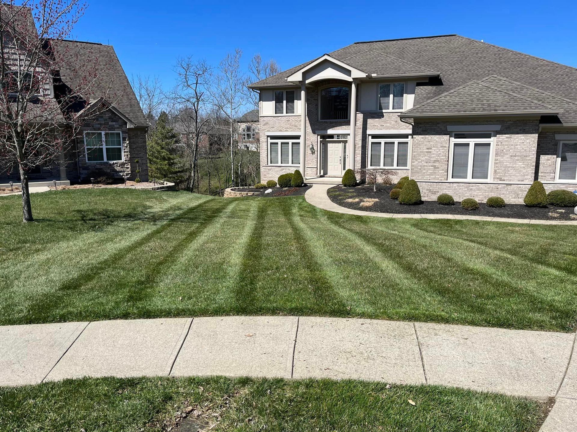 Lawn care rows cut mow edge