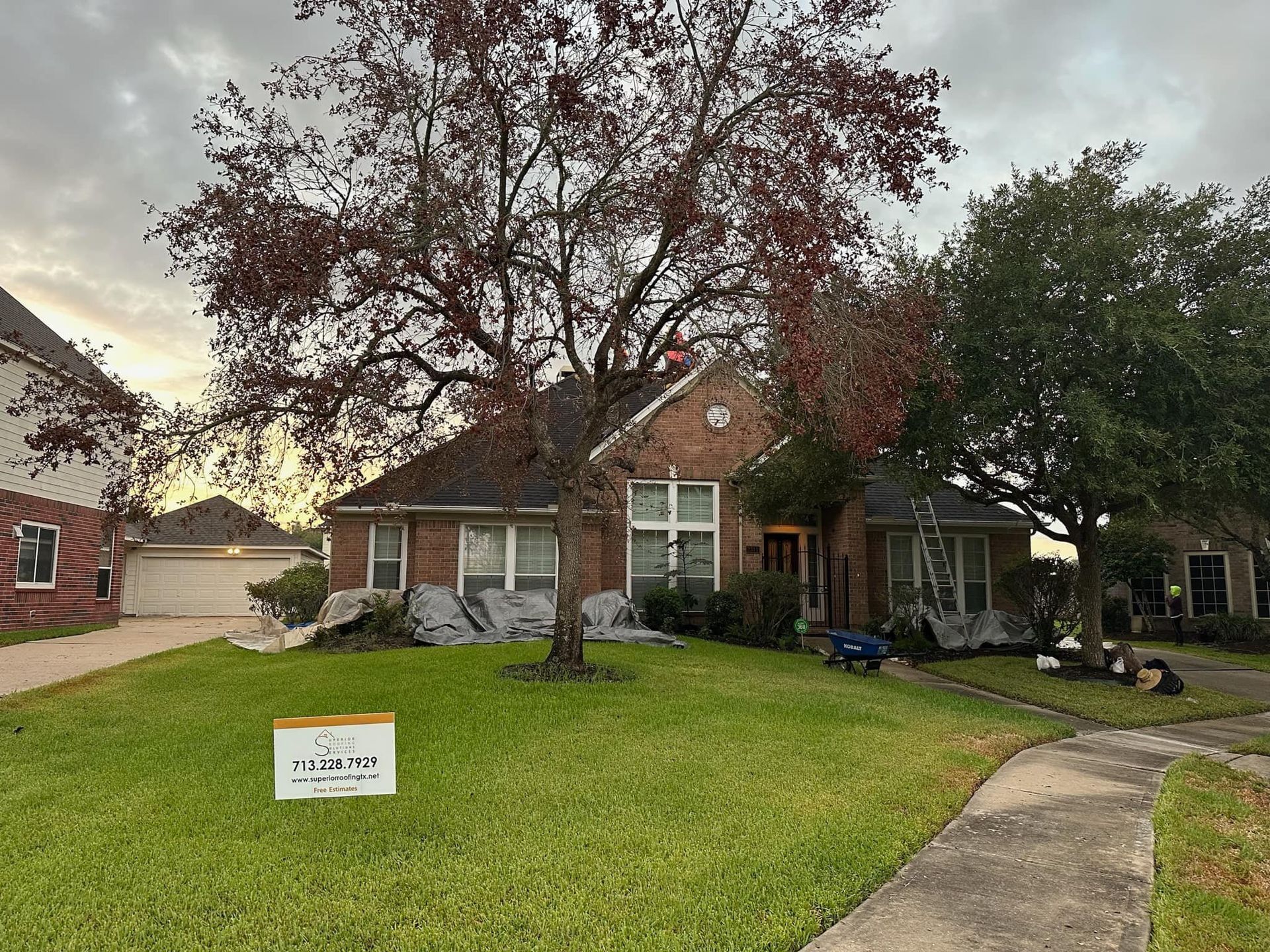 A brick suburban house with a large, autumn-toned tree in the front yard, a lawn sign, and a paved walkway.