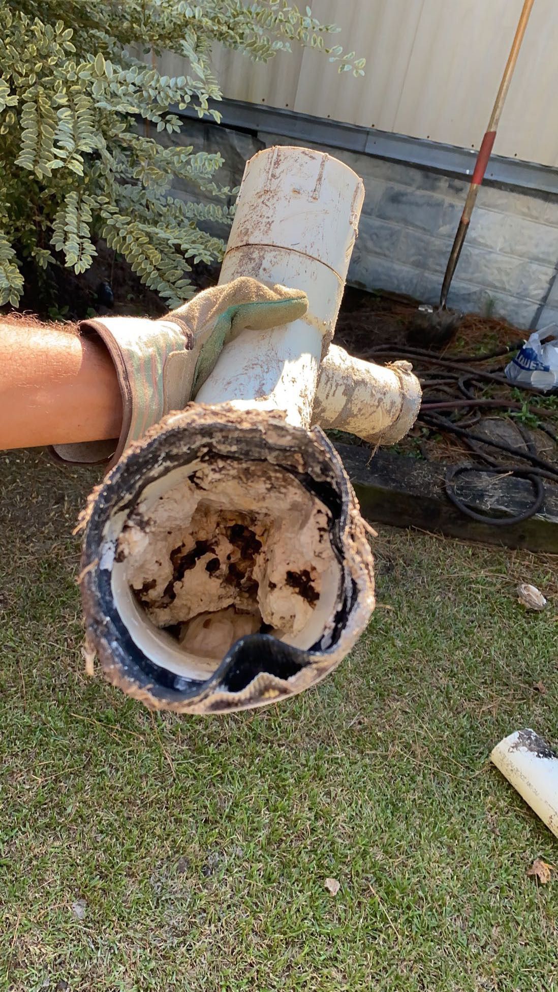 A gloved hand holds a dirty white PVC pipe fitting filled with debris. Green grass and a tree are in the background.
