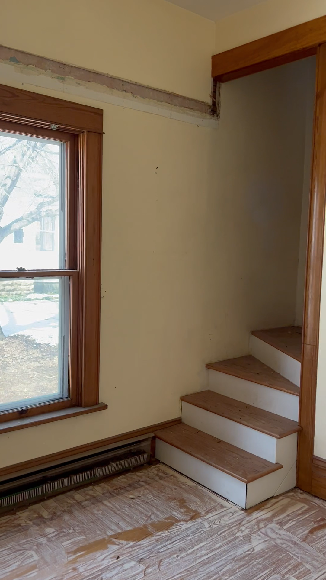 past houses bought for cash Berthoud