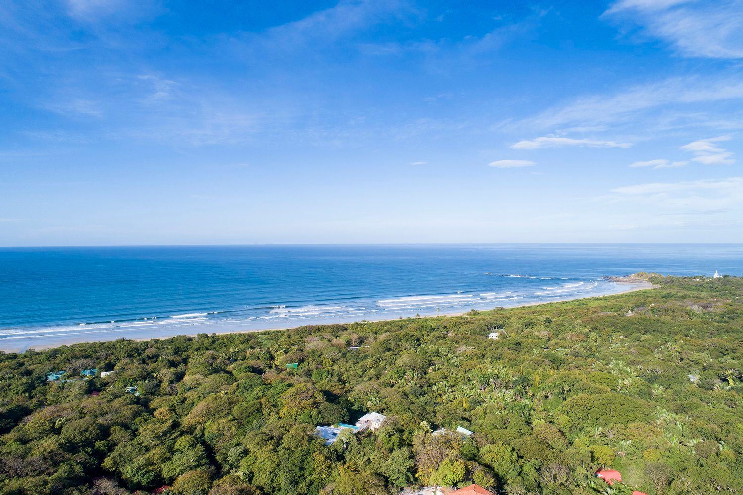 An aerial view of a lush green forest next to the ocean.