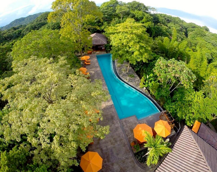 An aerial view of a swimming pool surrounded by trees and umbrellas