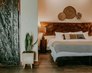 A bedroom with a king size bed and a potted plant.