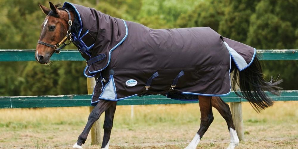 Horse blankets sheets