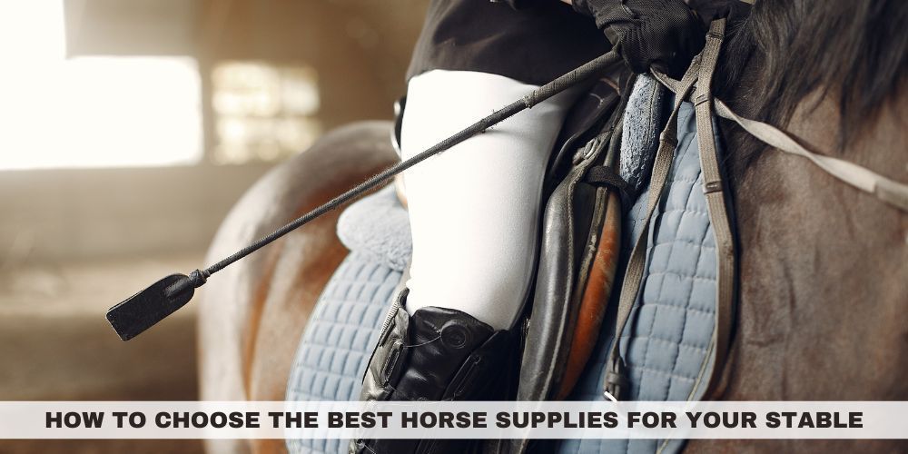 How to Choose the Best Horse Supplies for Your Stable