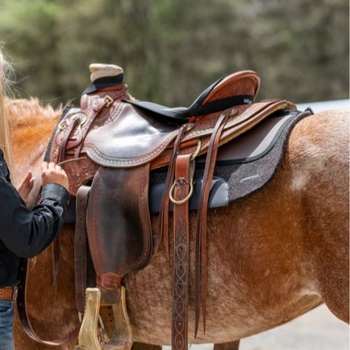 Western saddles for sale