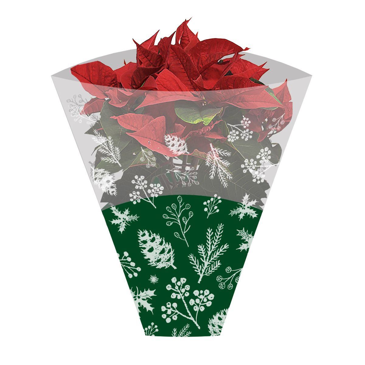 https://www.alphapackaging.co.uk/store/Plant-Sleeves-c189951507