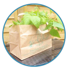Garden Centre Supplies
