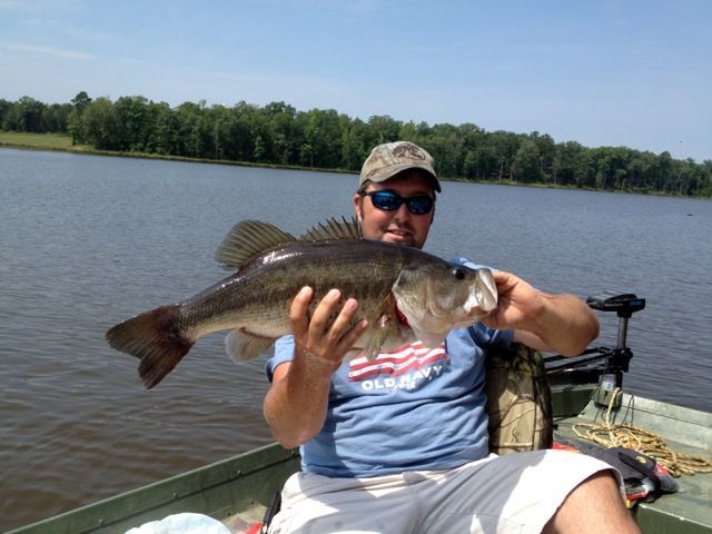 A man in a boat is holding a large fish
